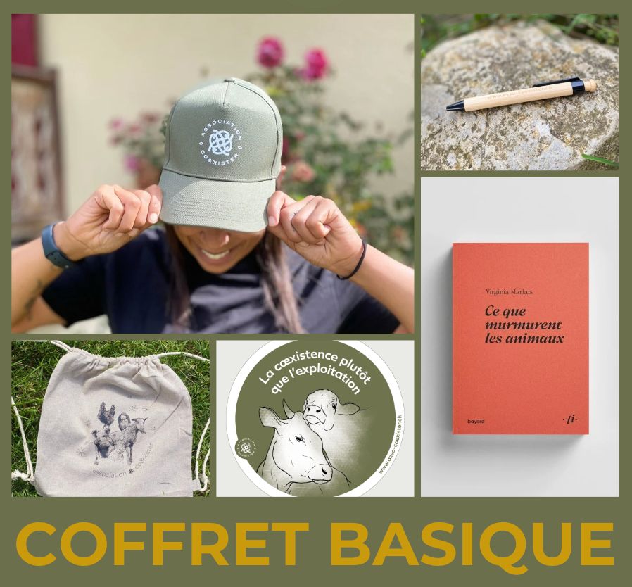 Coffret cadeau basique