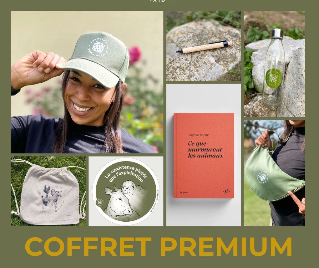 Coffret cadeau Premium
