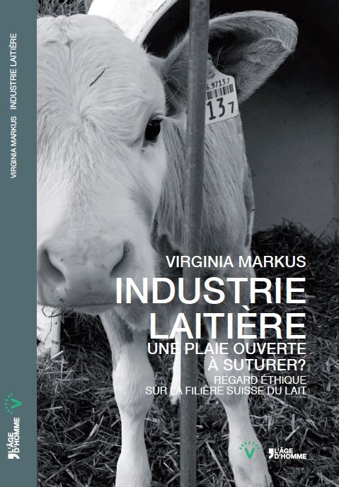 Industrie laitière, une plaie ouverte à suturer ?