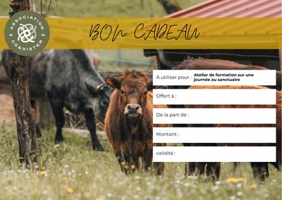 Bon cadeau "Atelier de formation sur une journée"