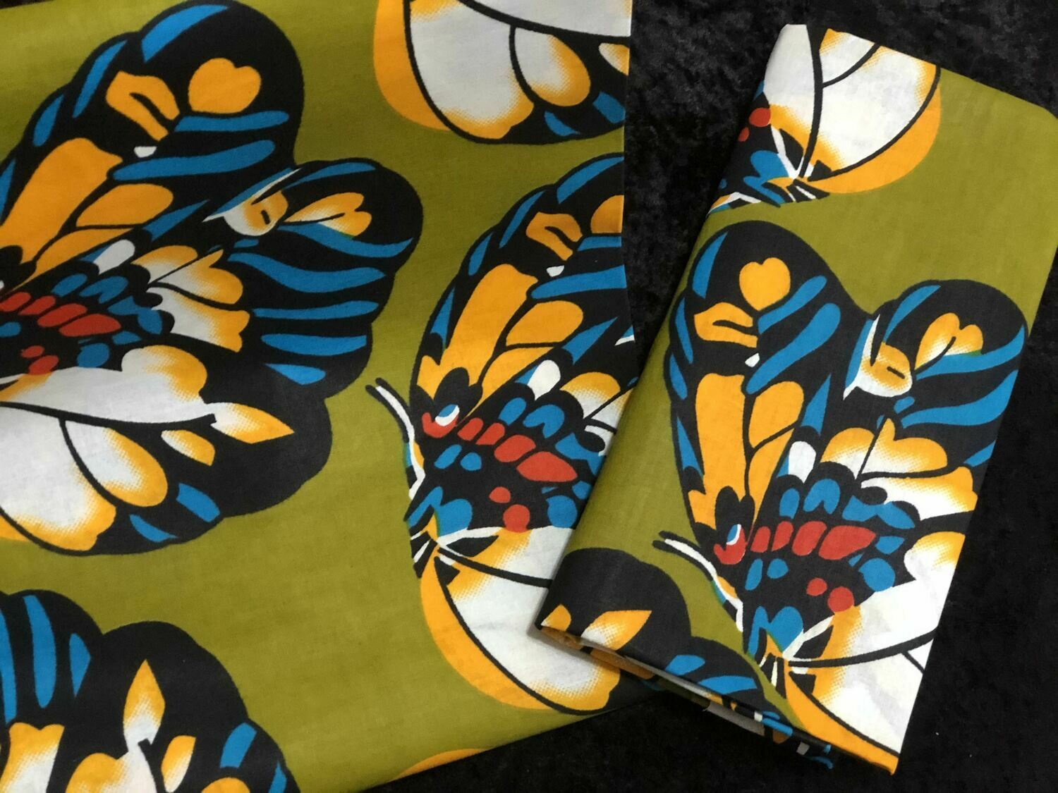 HW - Butterflies HW - Butterflies