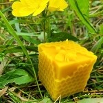 Spencer's Apiaries Beeswax Comb Cube with Bee Candle