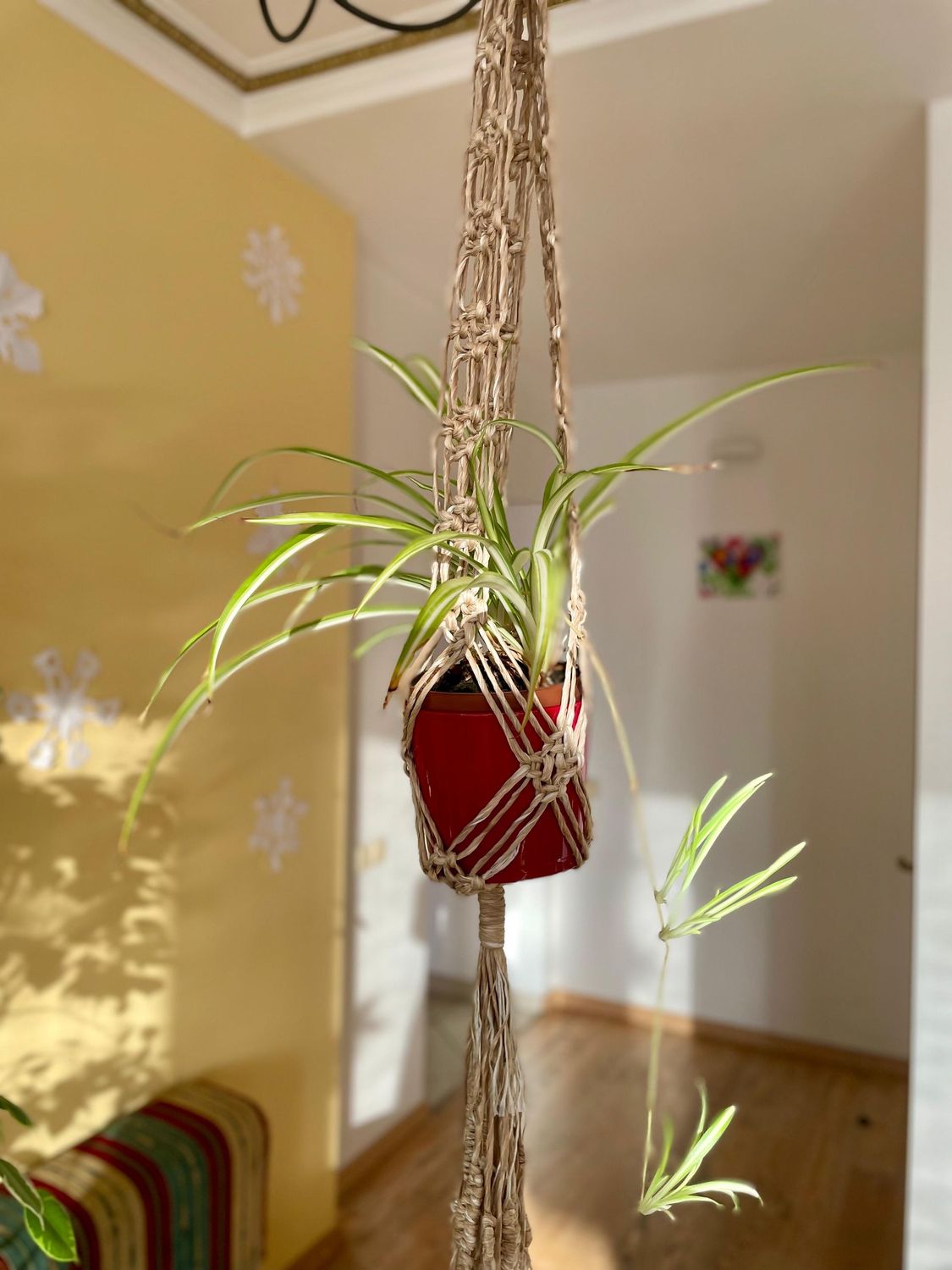puķpoda turētājs