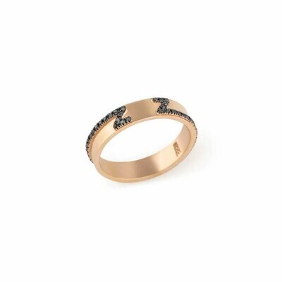 Wedding Band Diamond Ring with Black Diamond Wedding Band Diamond Ring with Black Diamond