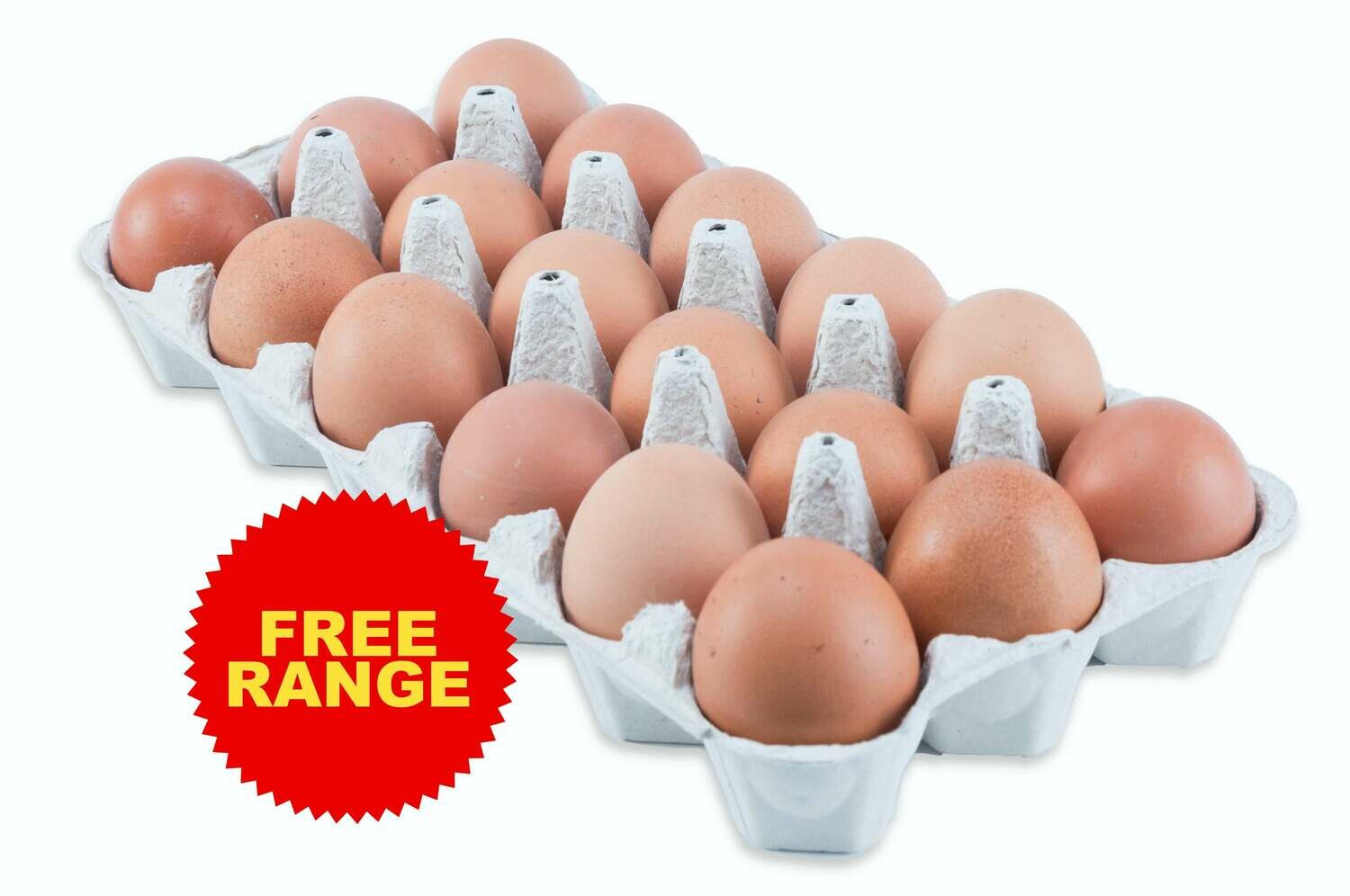 Free Range Eggs 18 Pack | Online Order | Delivery