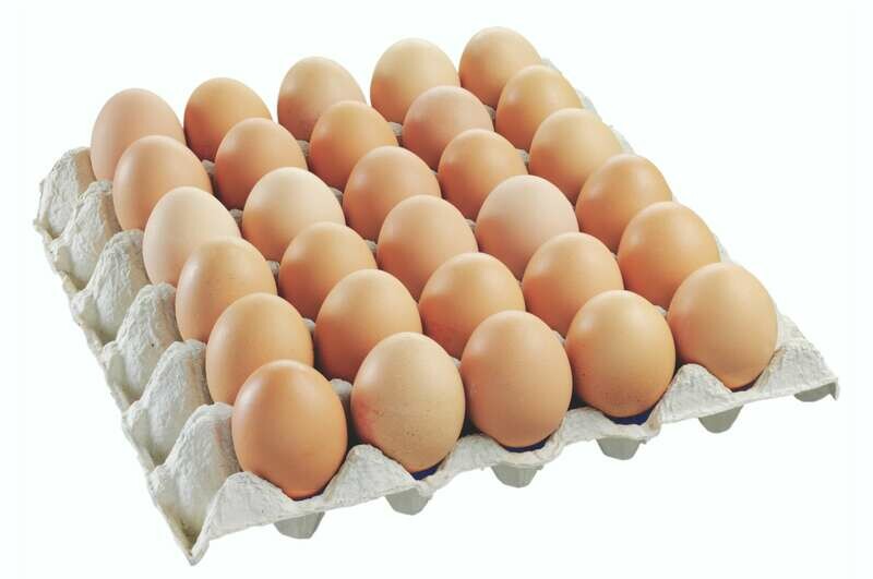 Dairy & Eggs