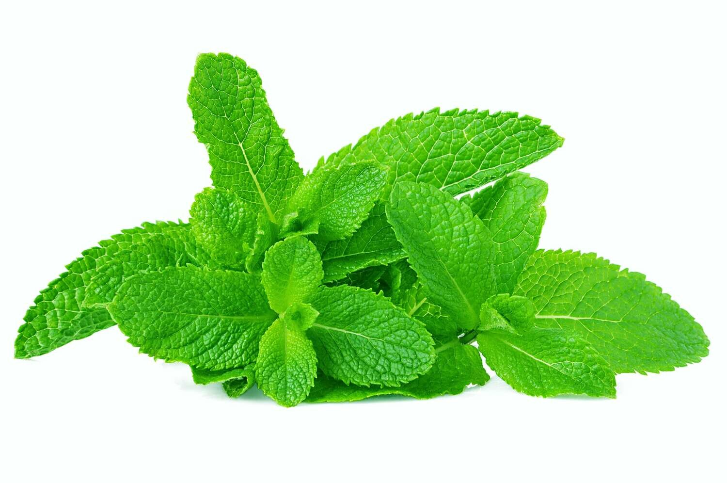 Mint 100g