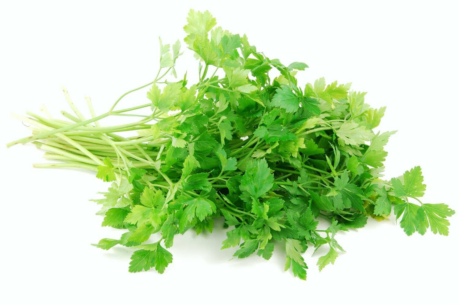 Italian Parsley 100g