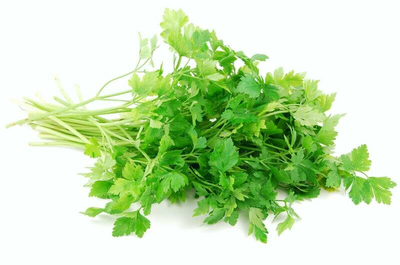 Italian Parsley 100g