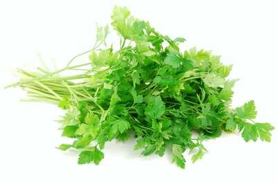 Italian Parsley 100g