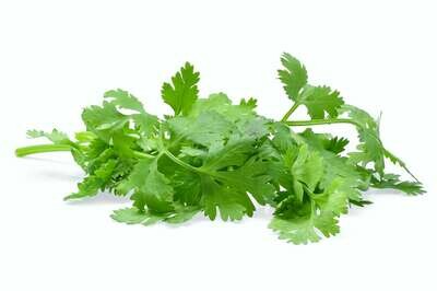 Coriander 100g
