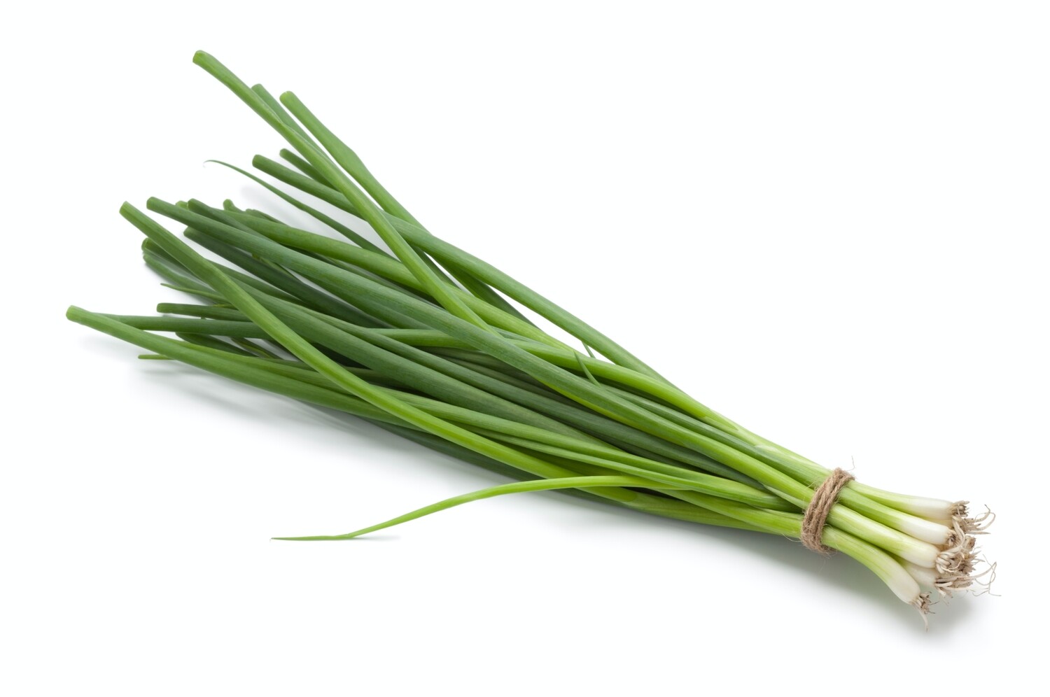Spring Onion Bundle