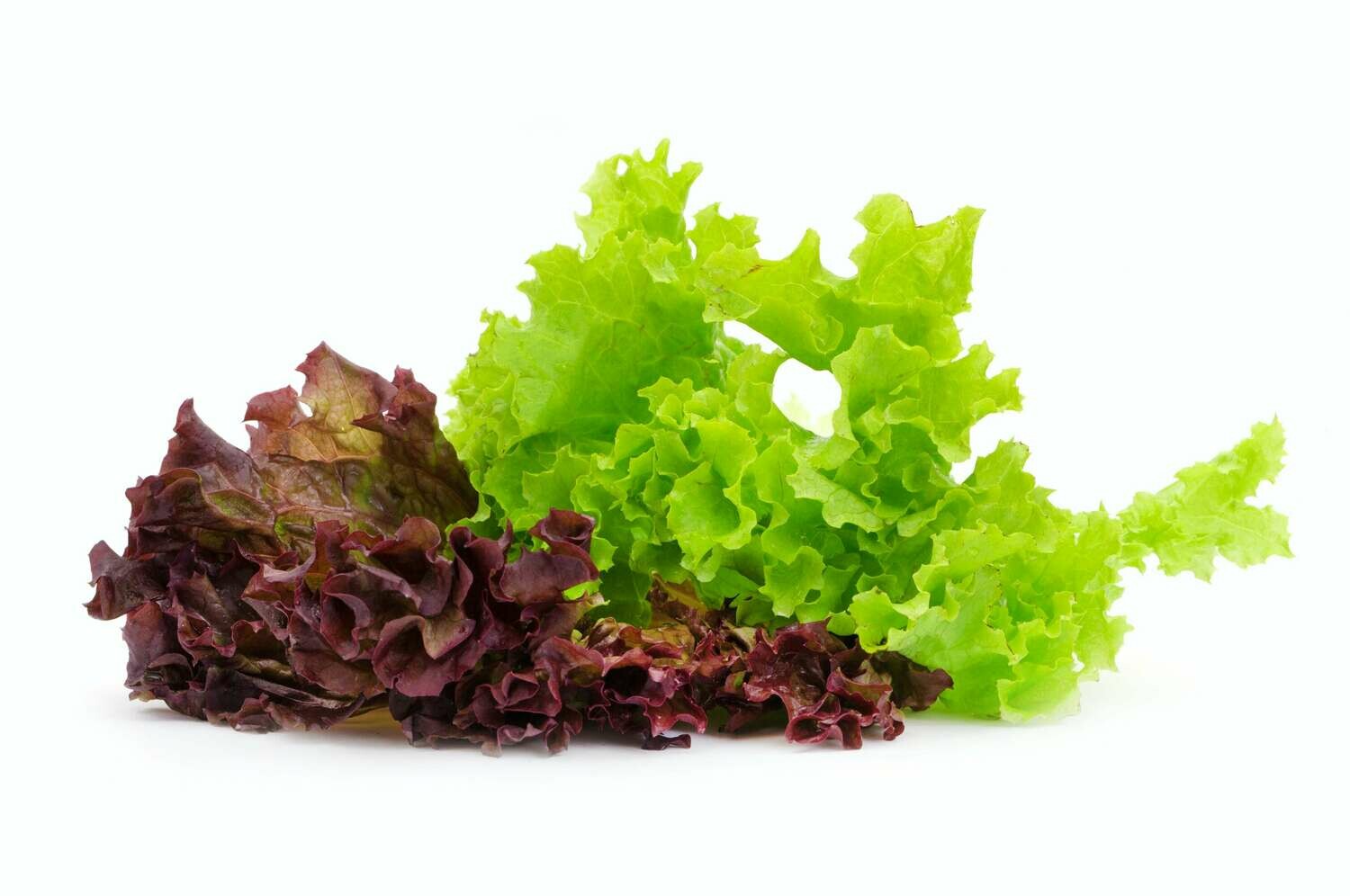 Fancy Lettuce 200g