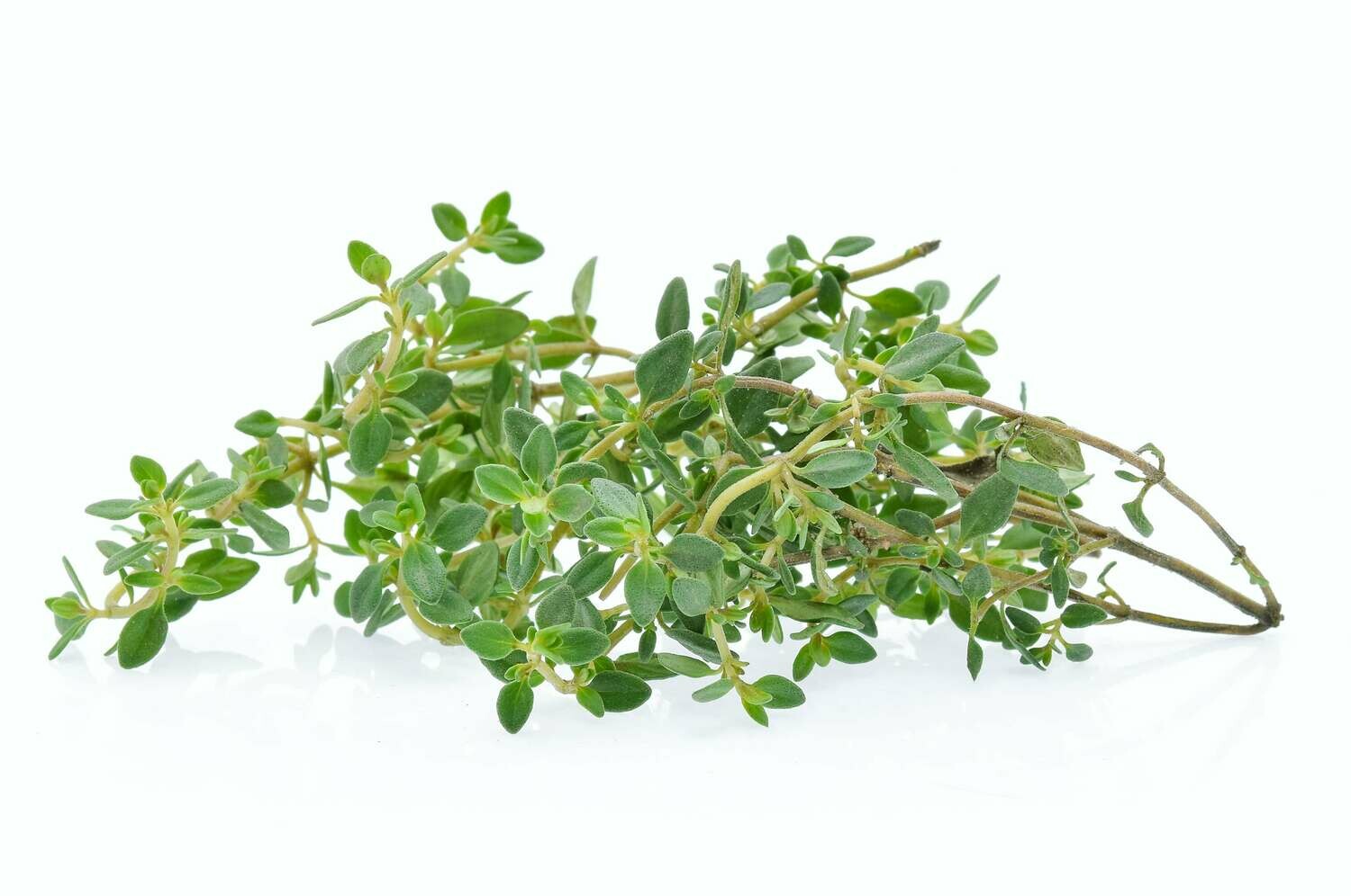 Thyme 100g