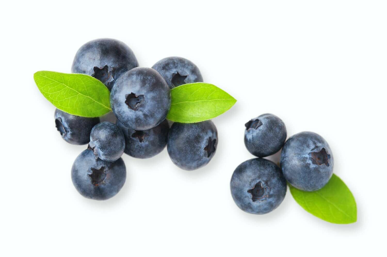 Blueberry Punnet 125g 