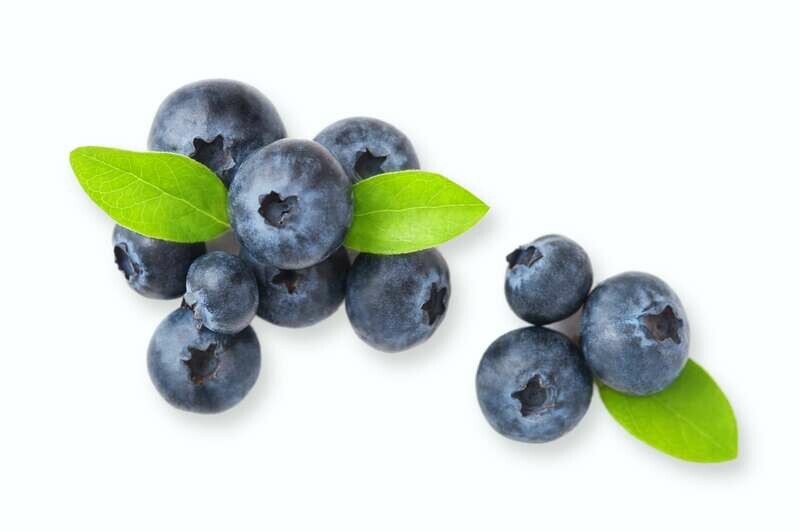 Blueberry Punnet 125g 