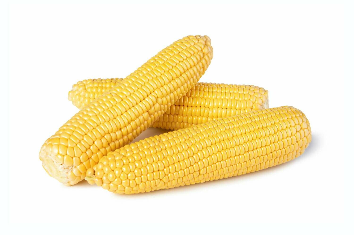 Corn On Cob