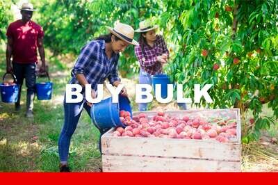 Buy Bulk &amp; Save