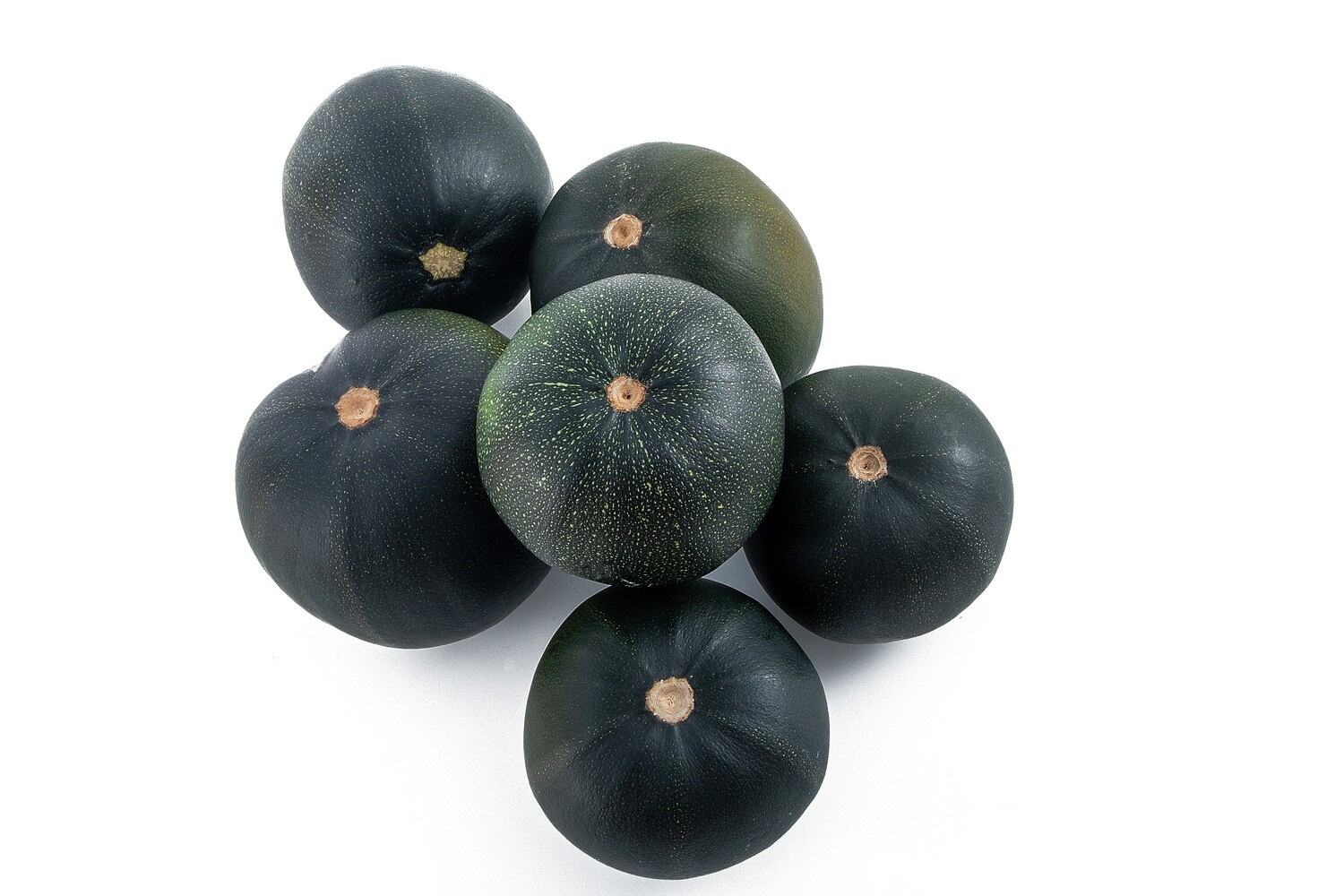 Gemsquash  6kg (R12.5per kg)