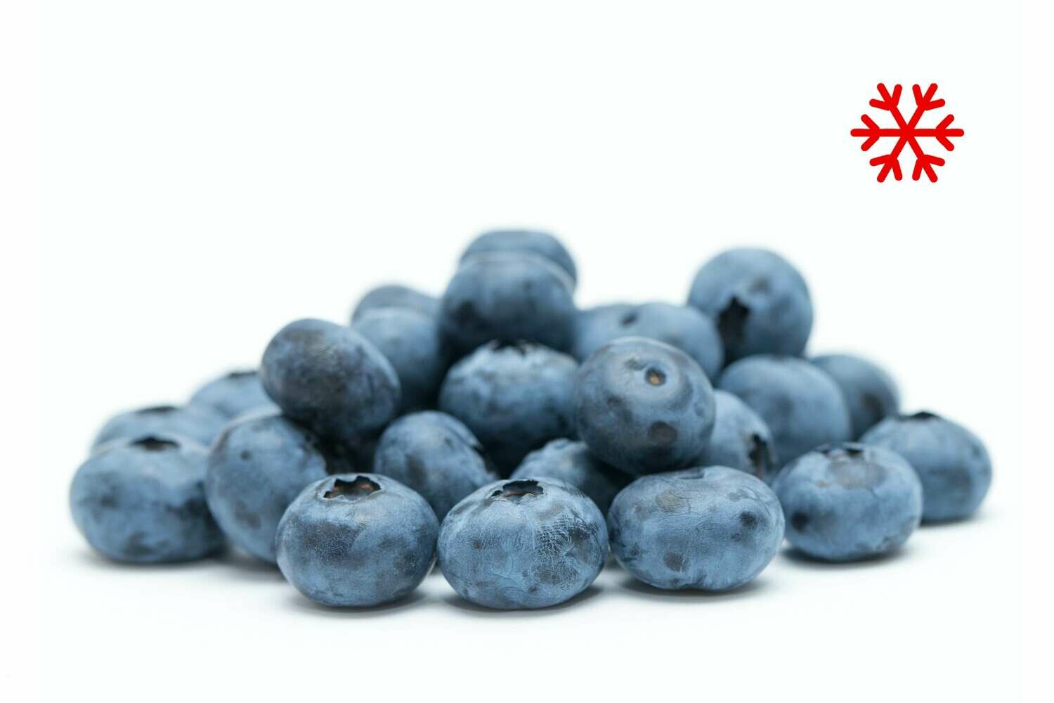 Blueberry Frozen