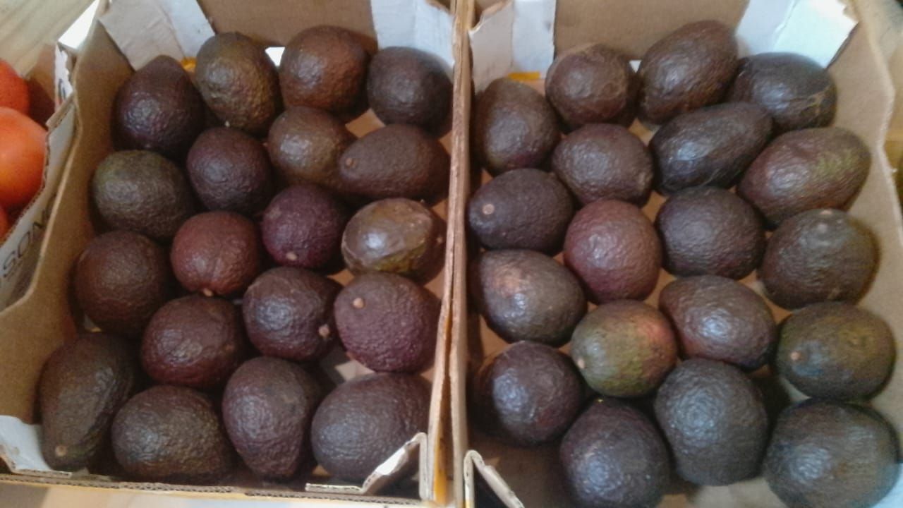 Avo's.  2 for 25