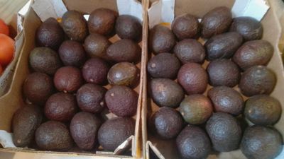 Avo's.  2 for 25