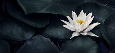 Get Up Nation® Mindfulness Puzzle - Lotus Flower