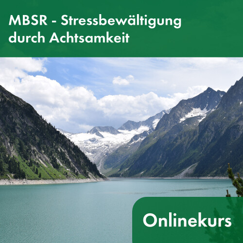 MBSR-Onlineseminar (Stressbewältigung durch Achtsamkeit) / Präventionskurs
