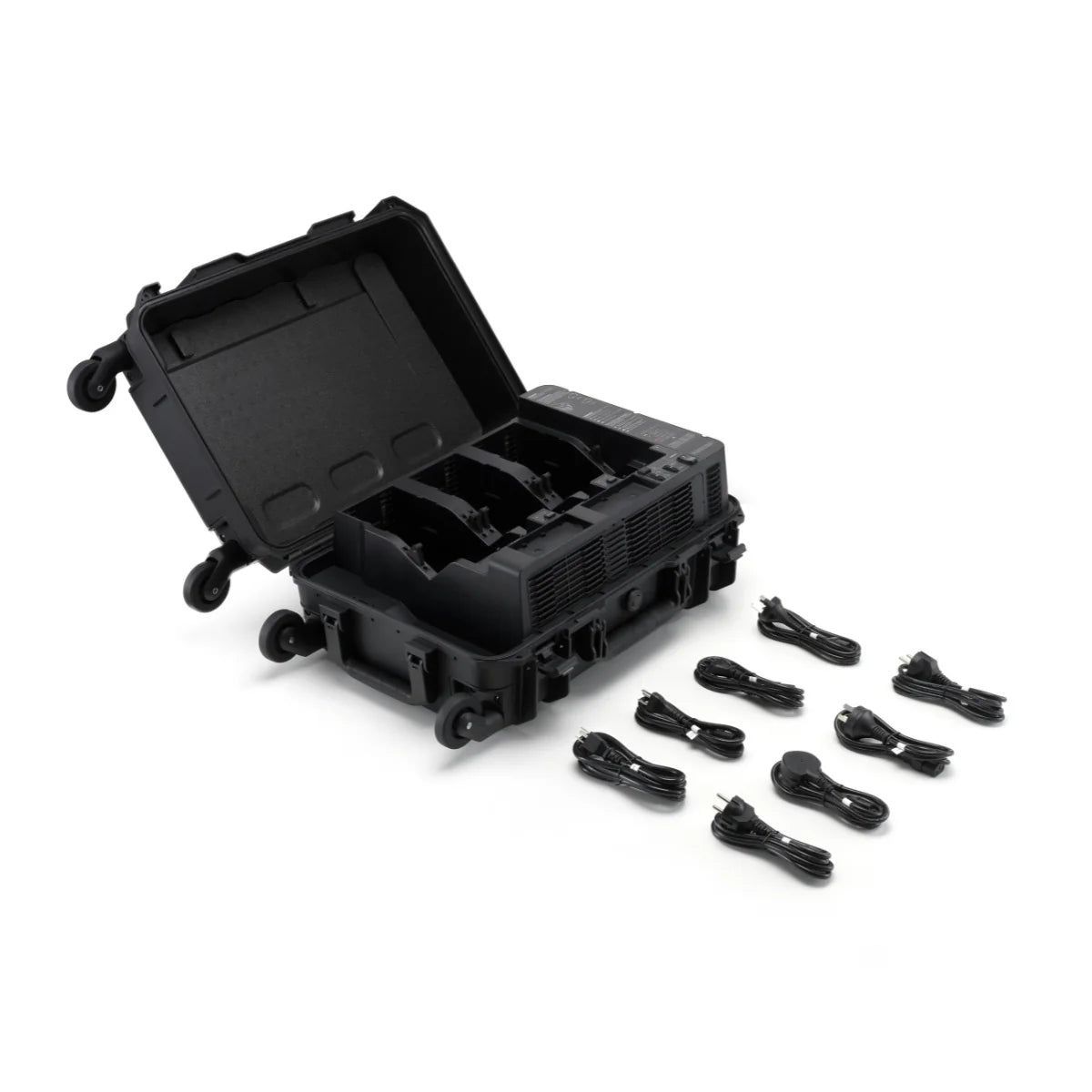 BS100 Intelligent Battery Station