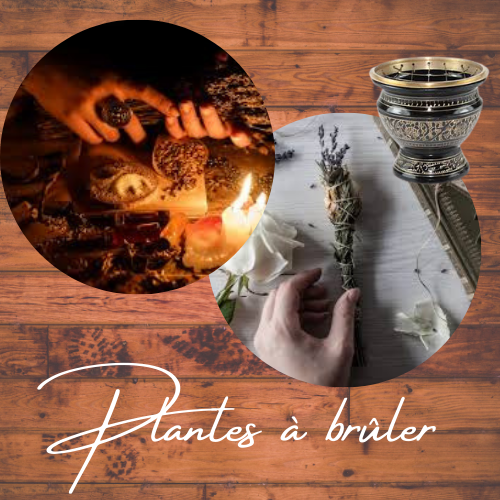 Plantes magiques a brûler