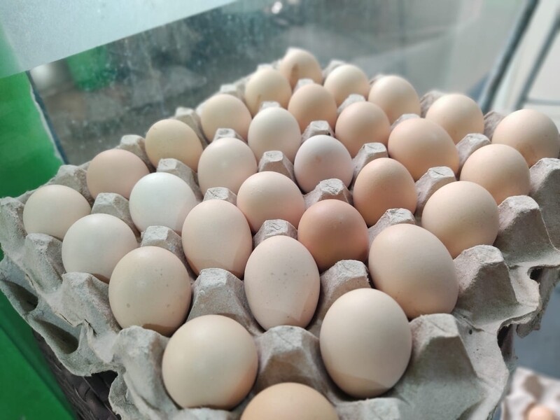 NATTY EGGS (30 NOS)
