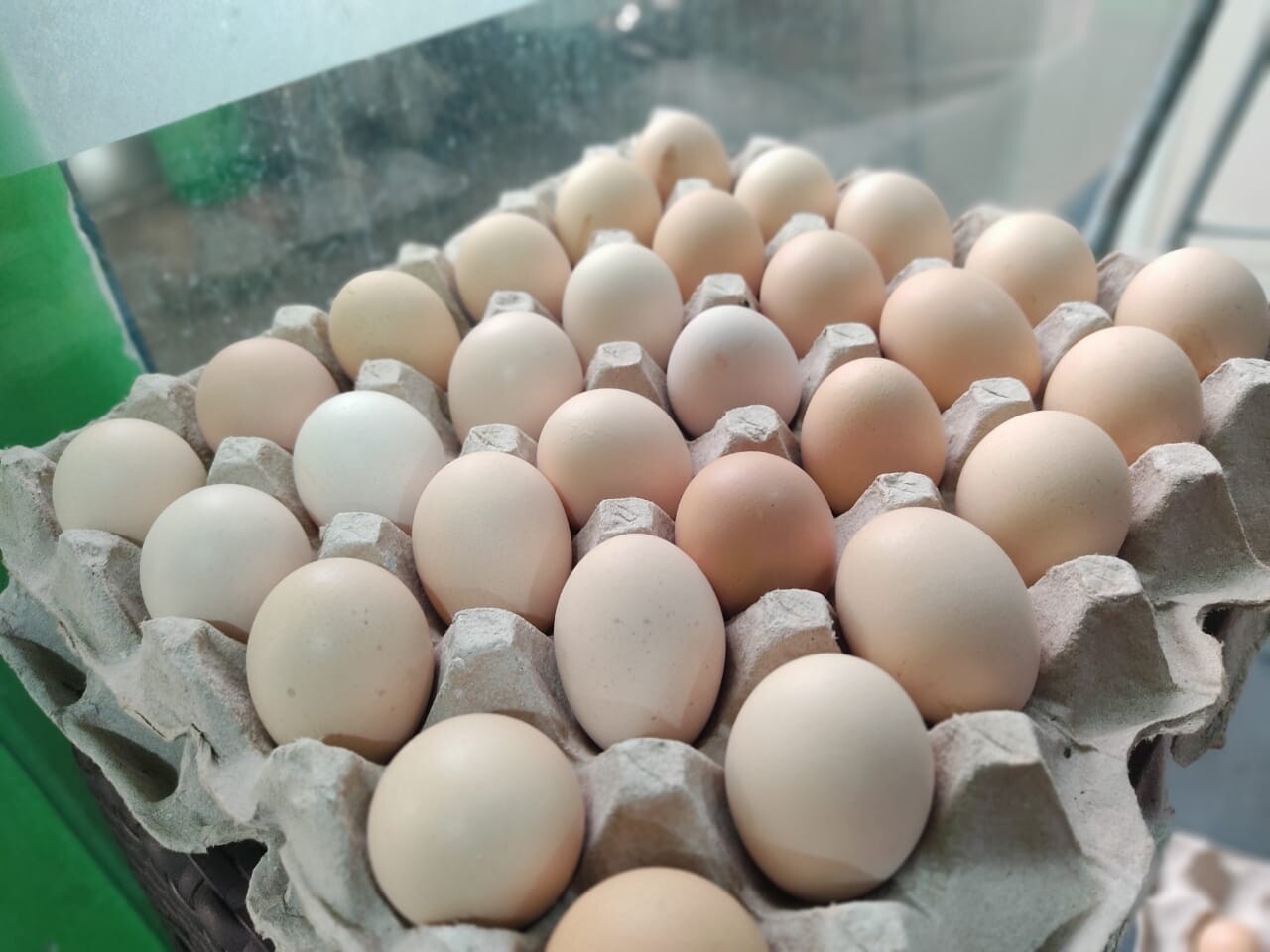 NATTY EGGS (30 NOS)