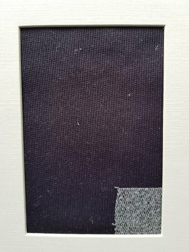 looped back jersey fabric