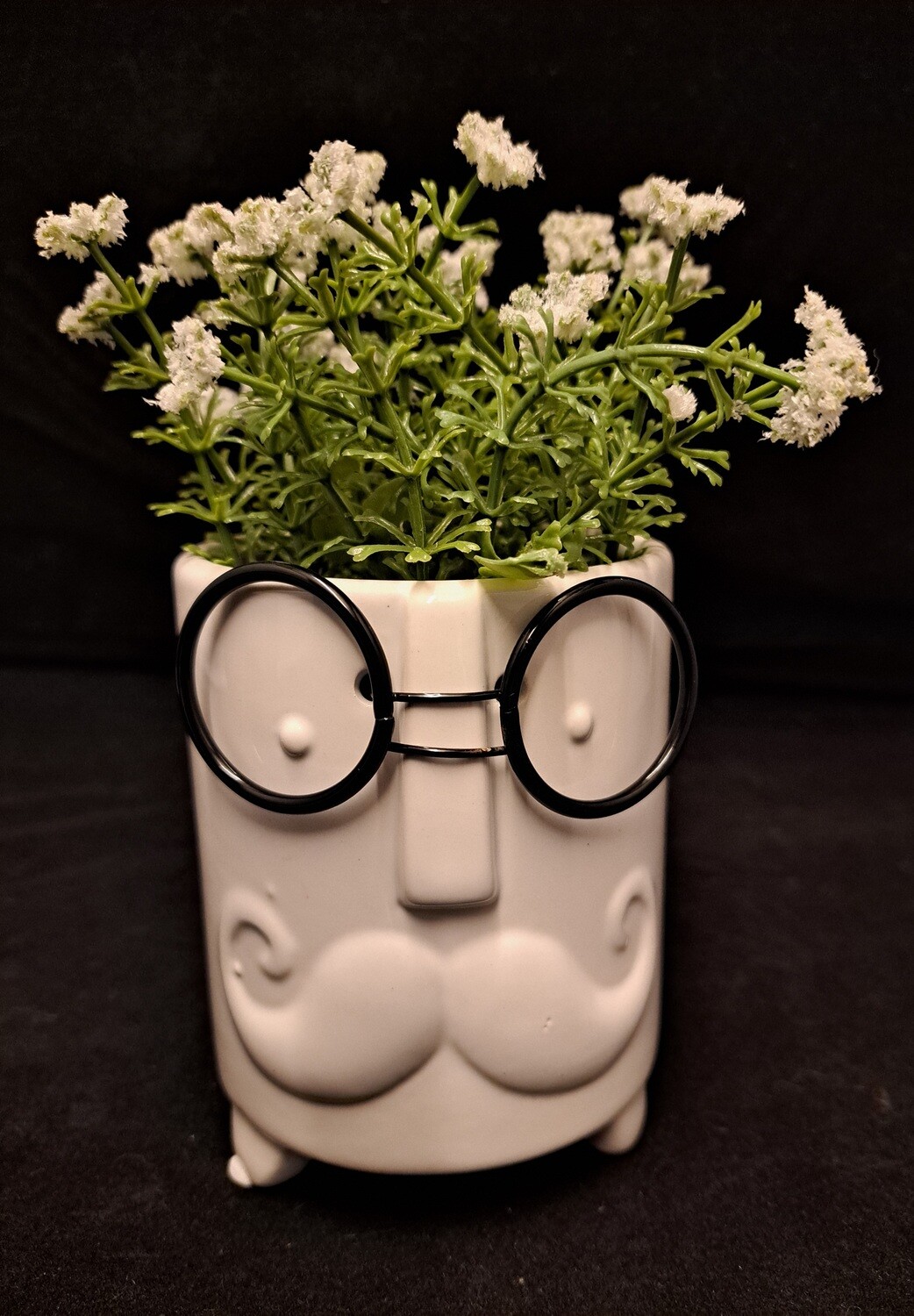 Planter snor en bril wit