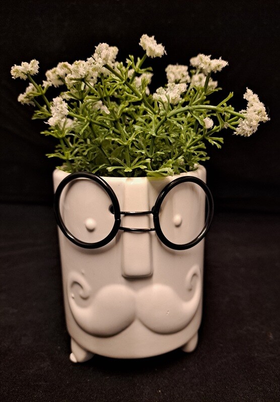 Planter snor en bril wit