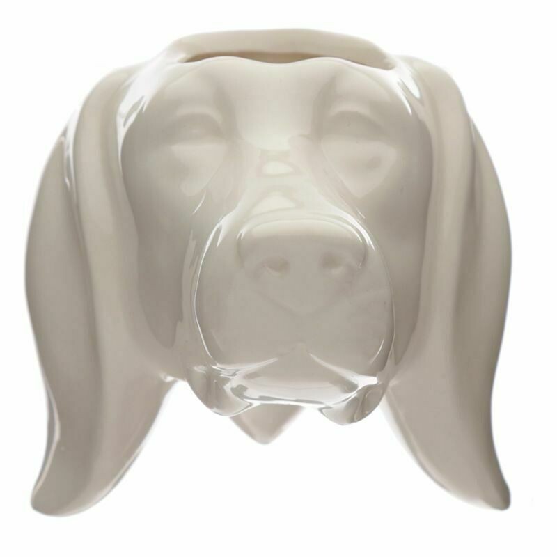 Planter hond