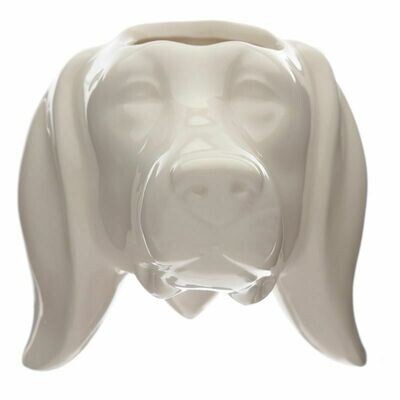 Planter hond