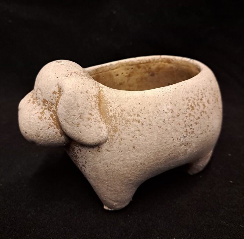 Planter cement hond