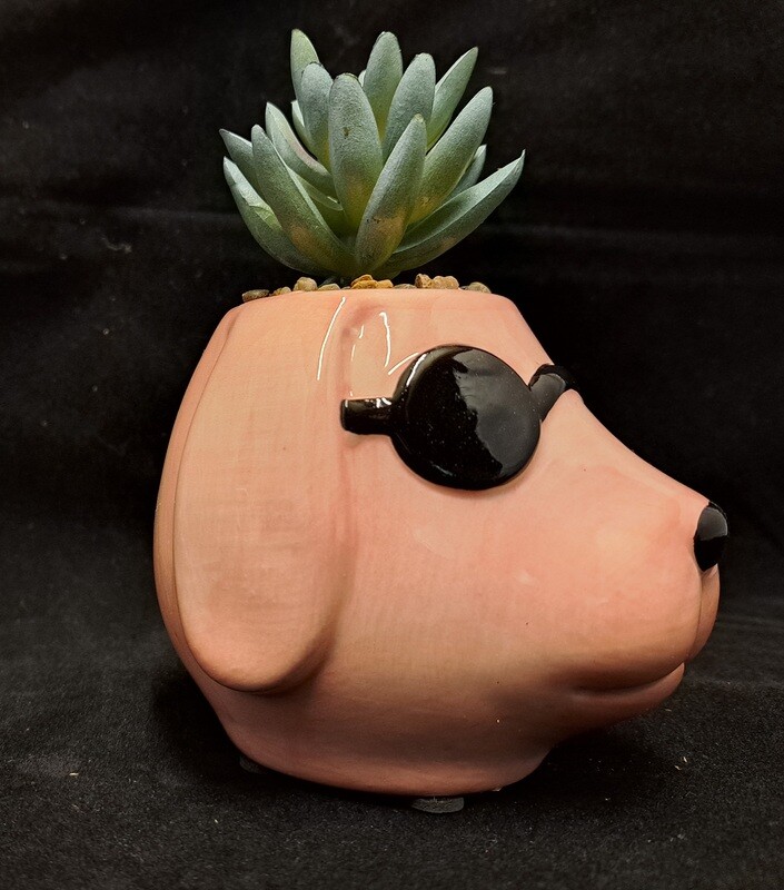 Planter hond met plant rose