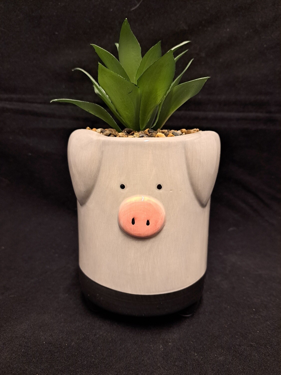 Planter varken grijs