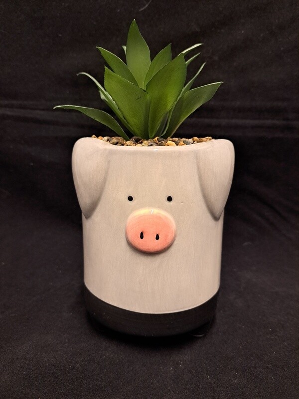 Planter varken grijs