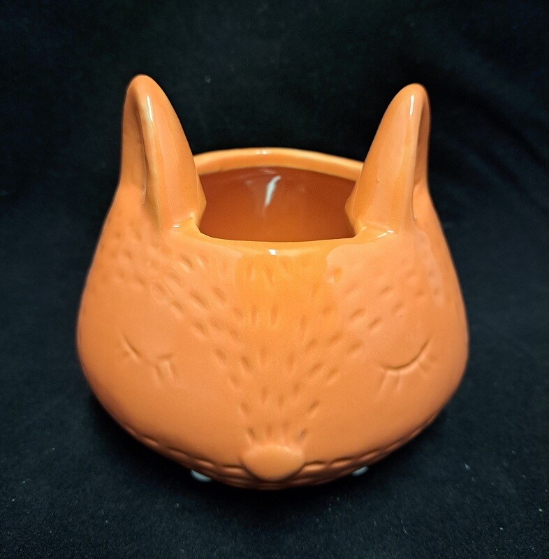 Planter poes terra