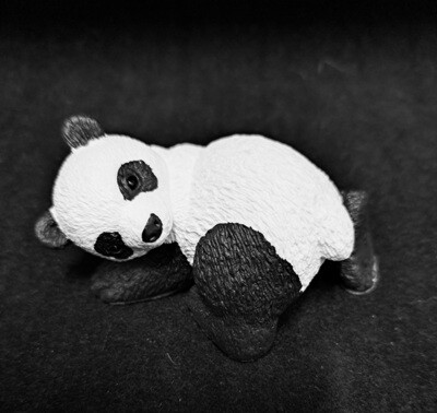Panda omkijkend