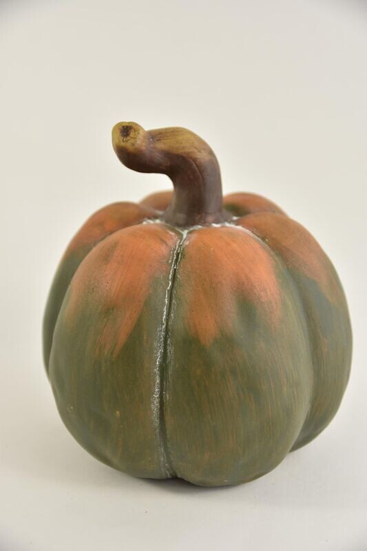 Pompoen oranje groen 20 cm