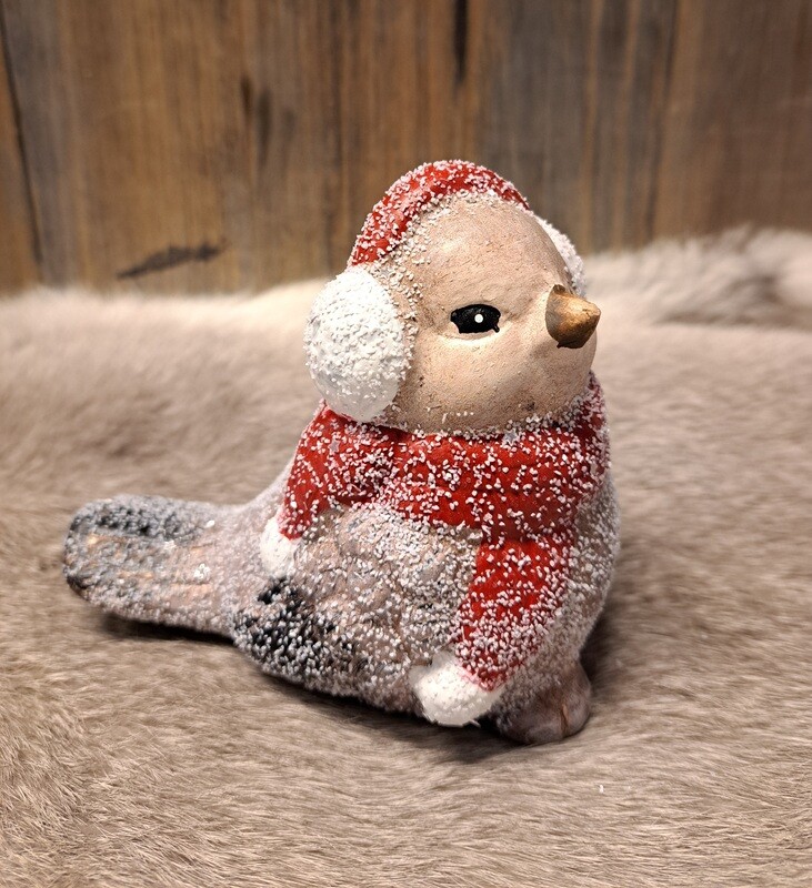 Kerstvogel met oorwarmers