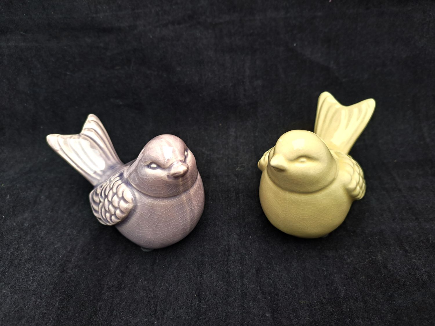 Set vogels lila en geel