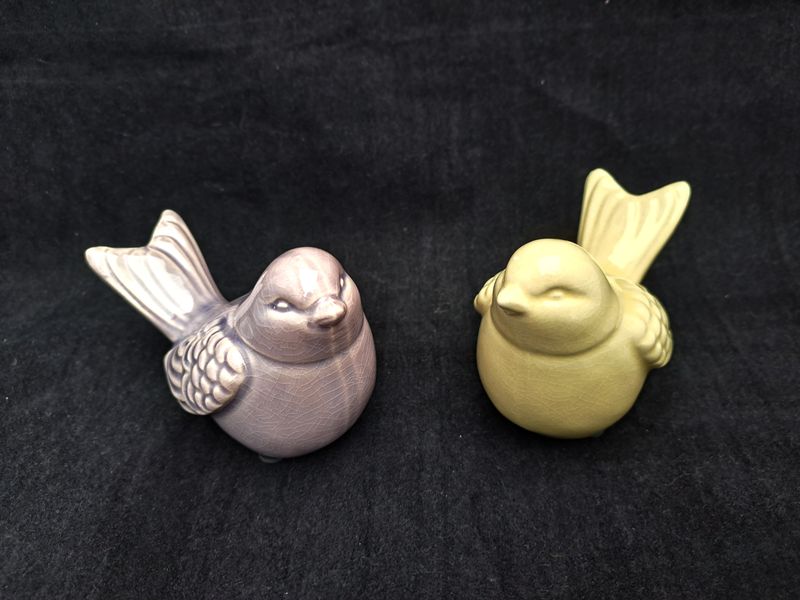 Set vogels lila en geel