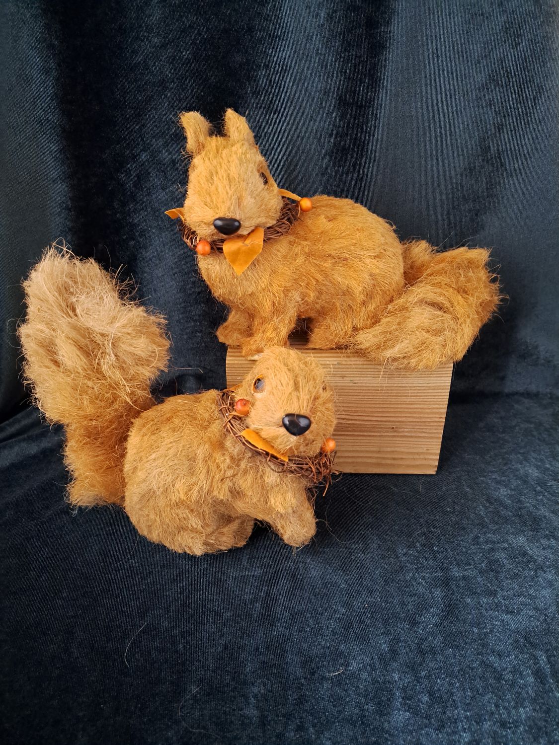 Set eekhoorns