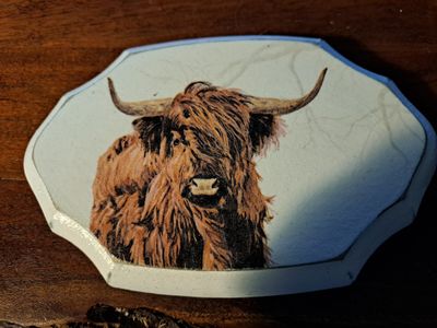 Bordje schotse hooglander