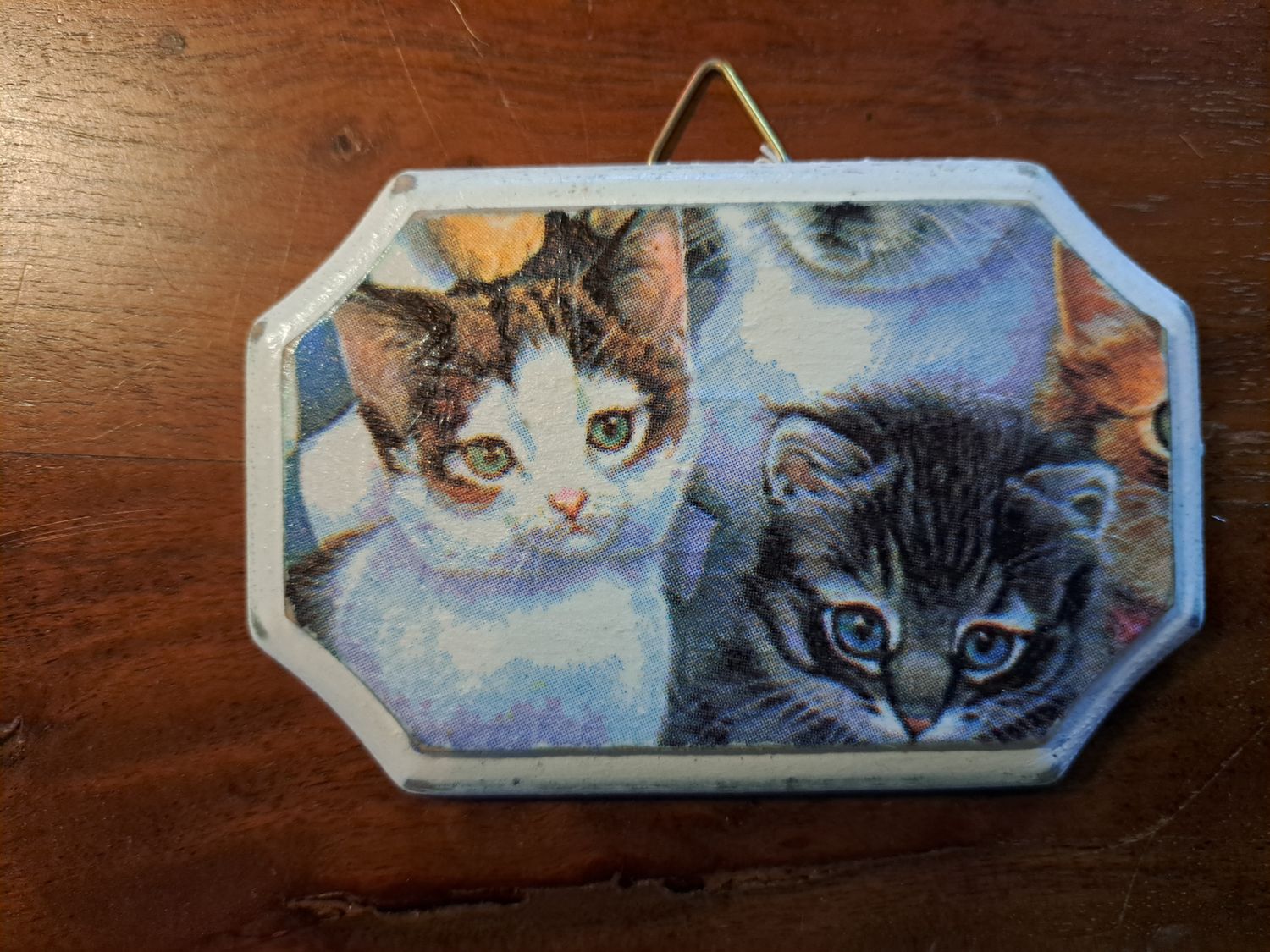 Bordje poes 2
